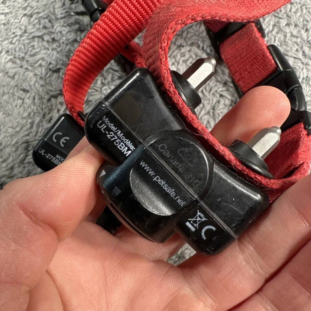 PetSafe this collars everyday